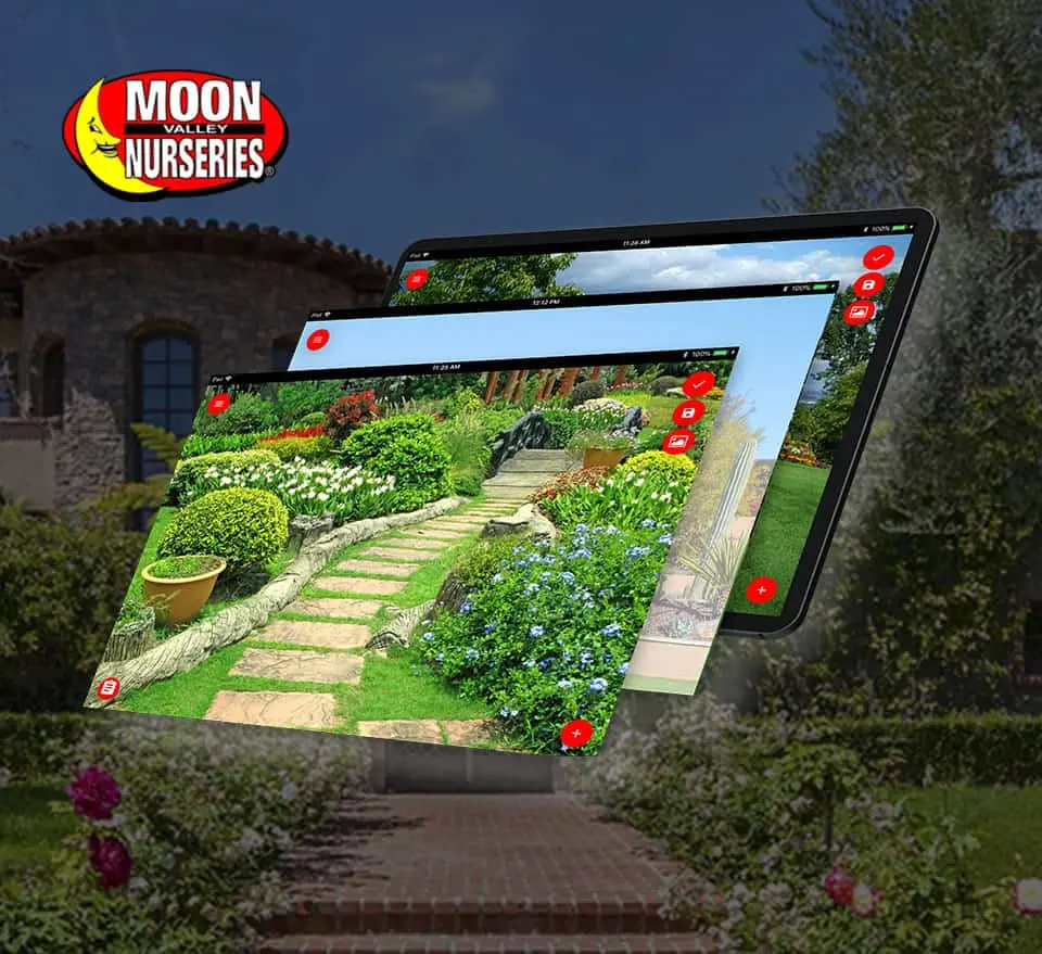 MoonValley – Multistore ECommerce Platform