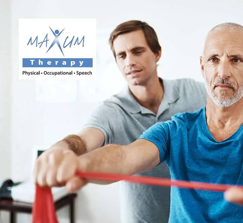 The Therapist Portal