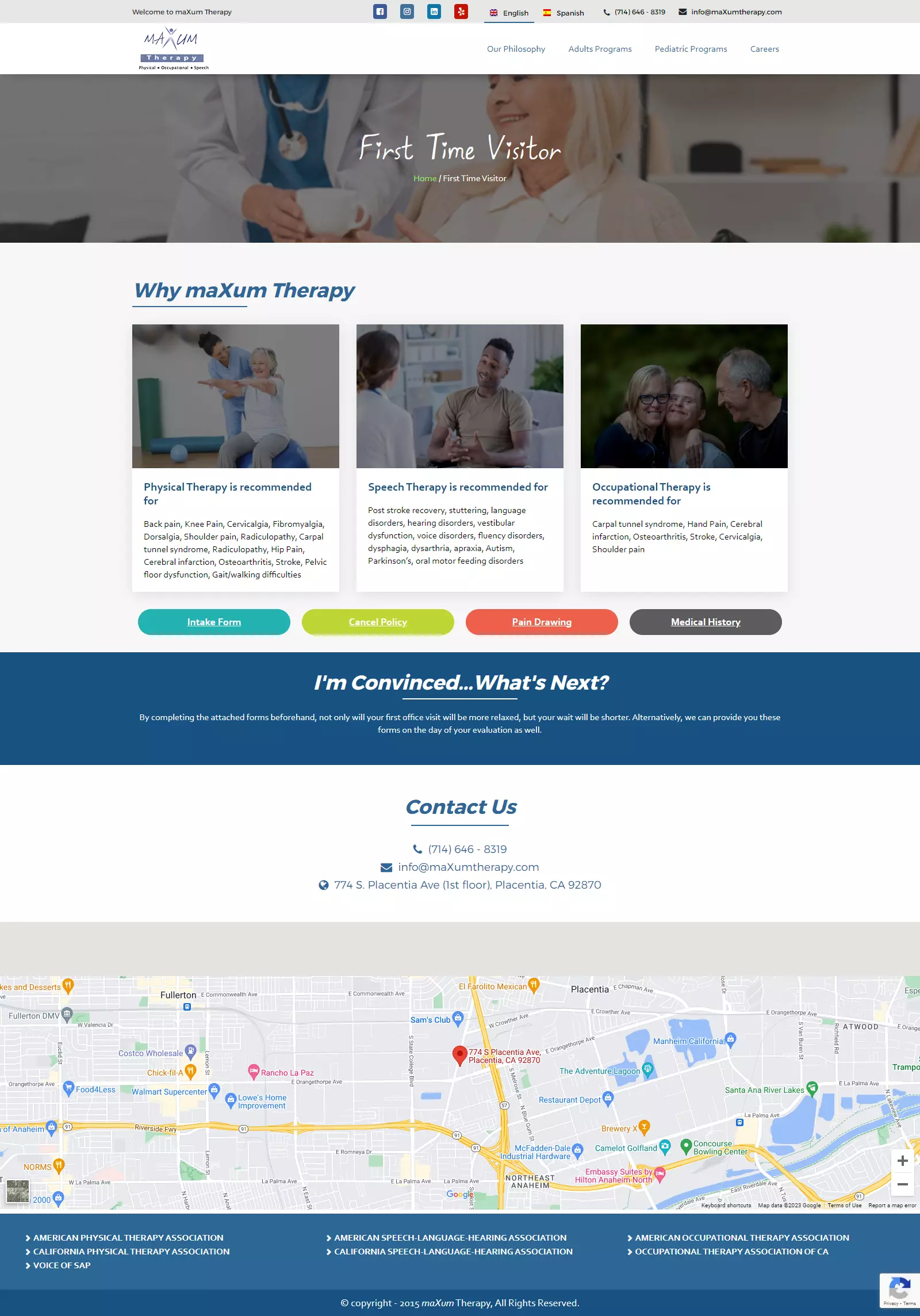 the therapist portal